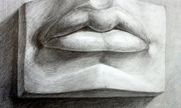 Губы Давида Академический