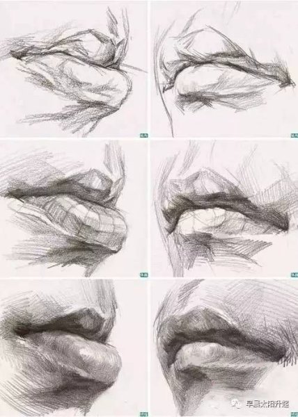 Баммес анатомия губы