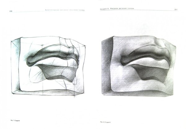 Губы Давида обрубовка