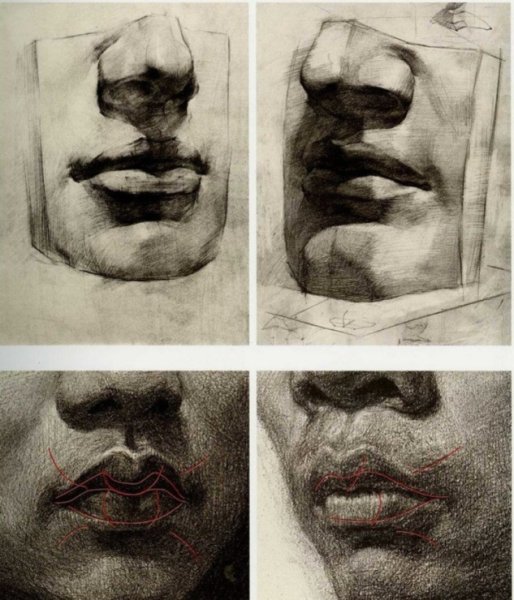 Академические губы