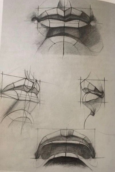 Конструктивное построение губ Давида