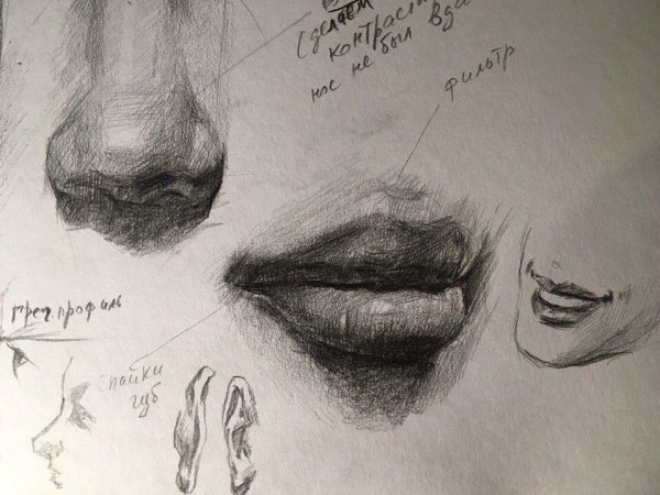 Академические Наброски губ