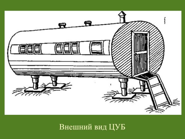 Цуба вектор