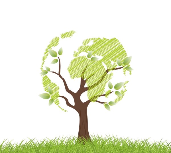 Эко рисунок конкурс