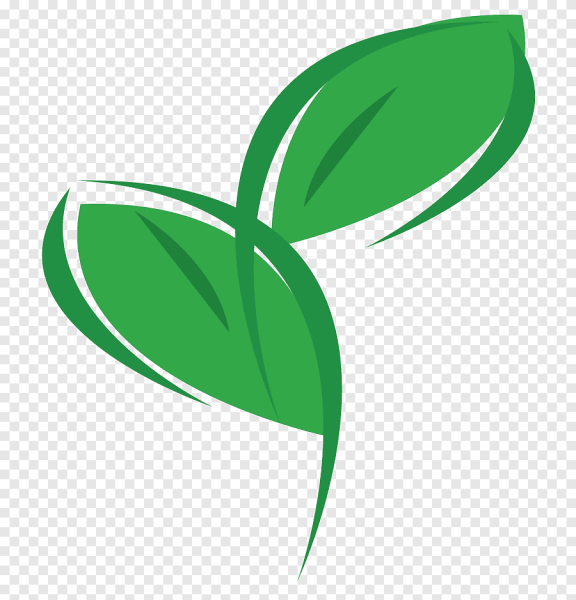 Экология фон