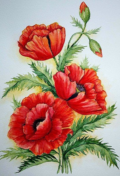 Мак для детей