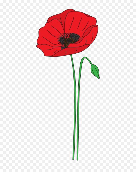 Мак раскраска