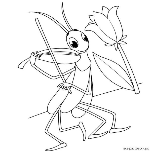 Раскраска кузнечик для детей 5-6 лет