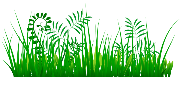 Трава рисунок