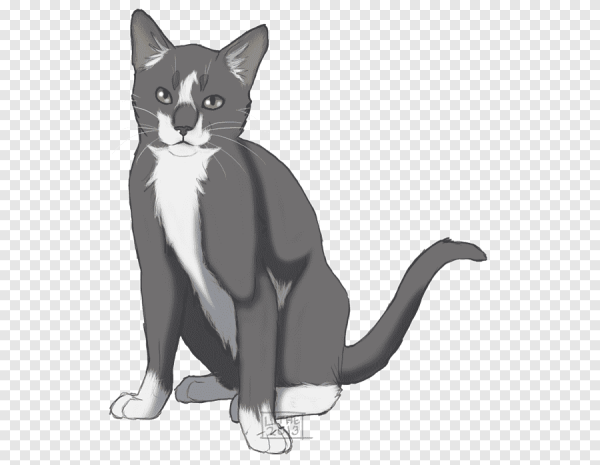 Безух коты Воители