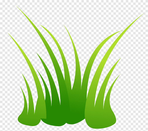 Трава рисунок
