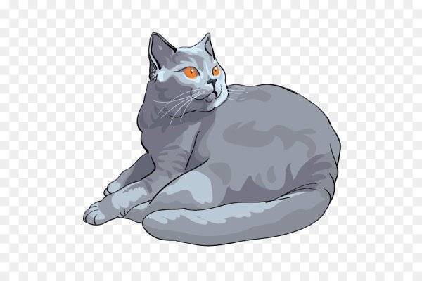 Warrior Cats Thistleclaw