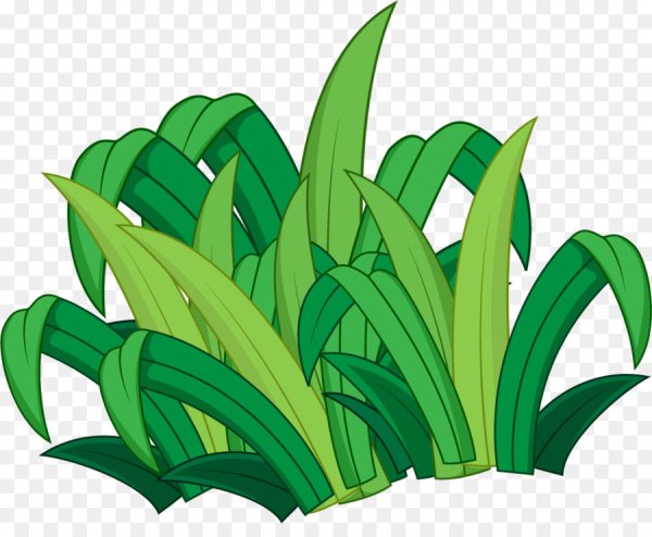 Мультяшные растения