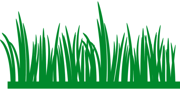 Трава рисунок