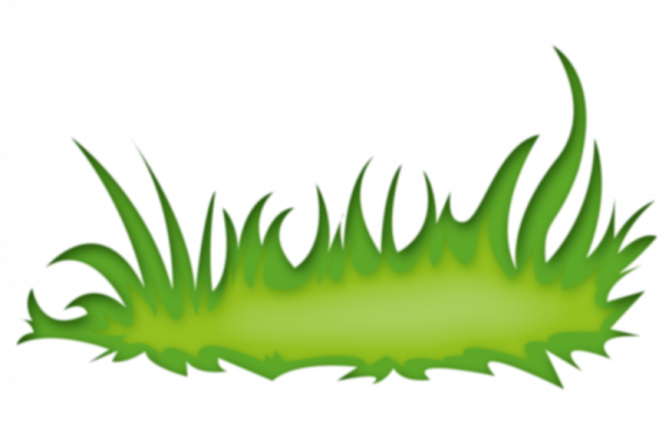 Травка для детей