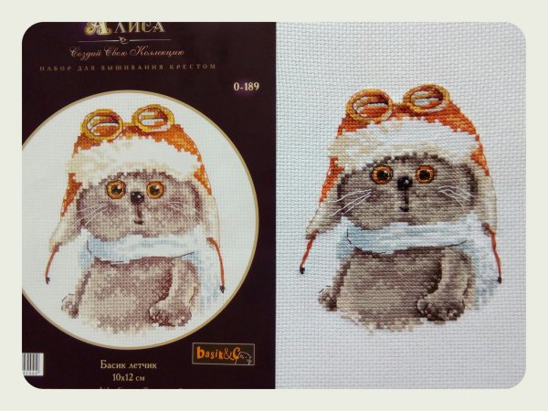 Алиса Басик летчик схема