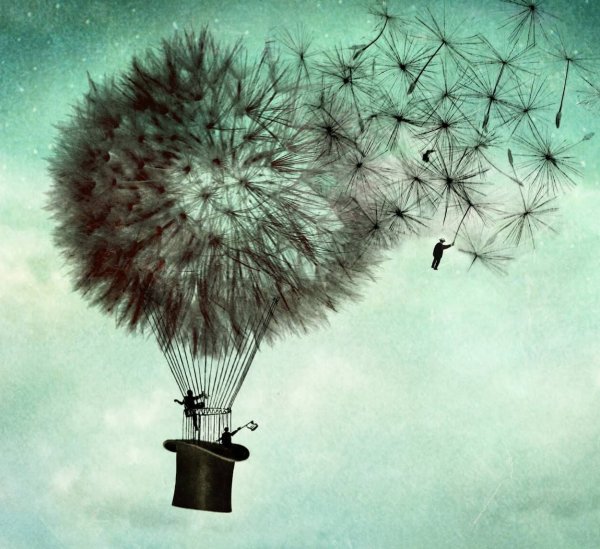 Самый опасный человек которому нечего терять