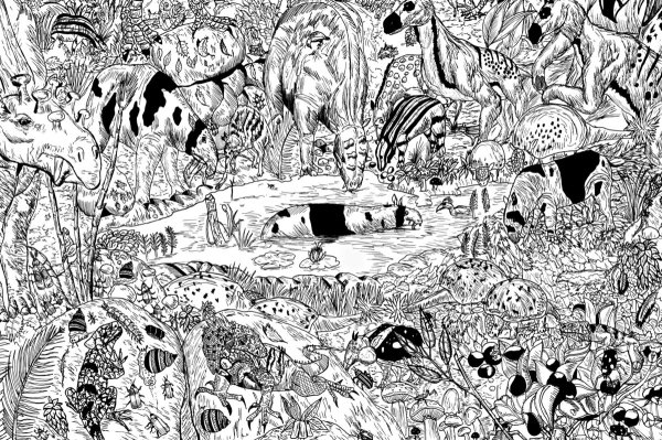 Душан Кртолица