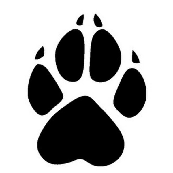 След собачьей лапы