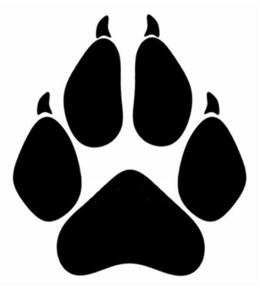 След собаки