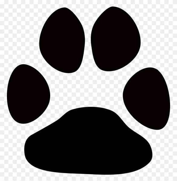 След лапы собаки