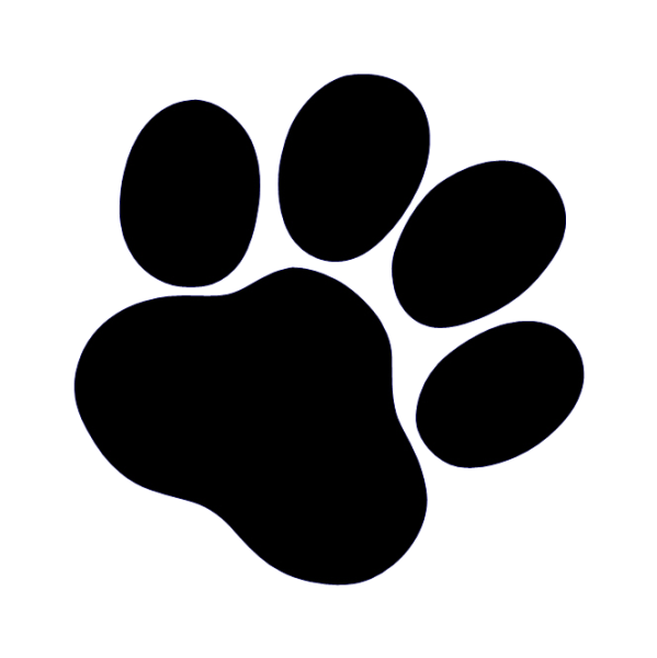 Собачья лапка