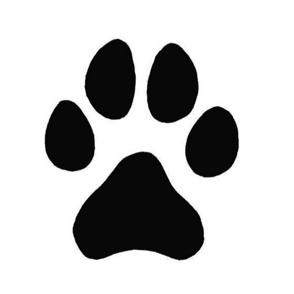 Отпечаток лапы волка