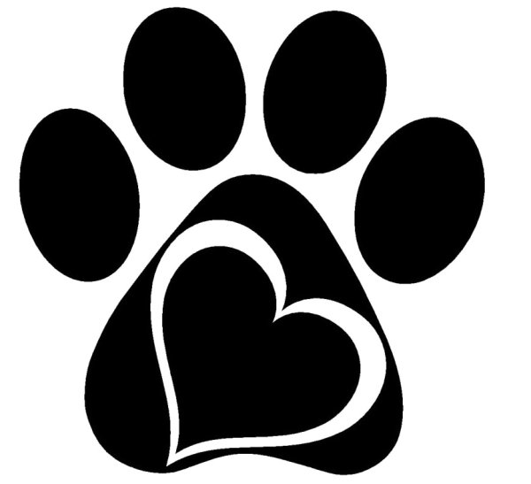 Отпечаток кошачьей лапки