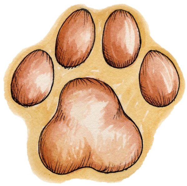 След лапы Льва