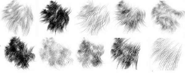 Зарисуй шерсть зверей