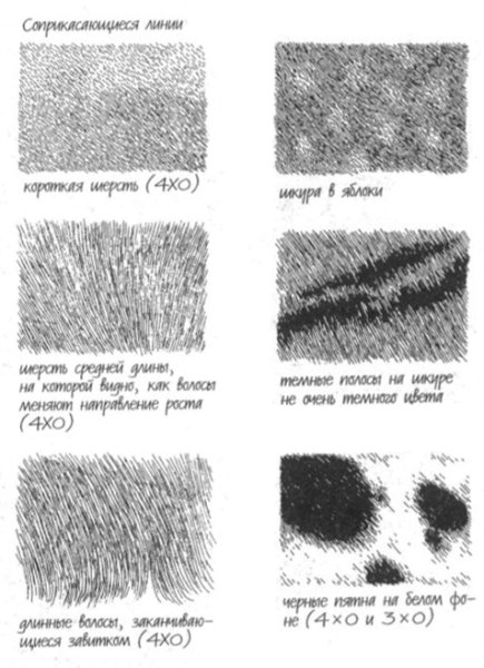 Шерсть рисунок