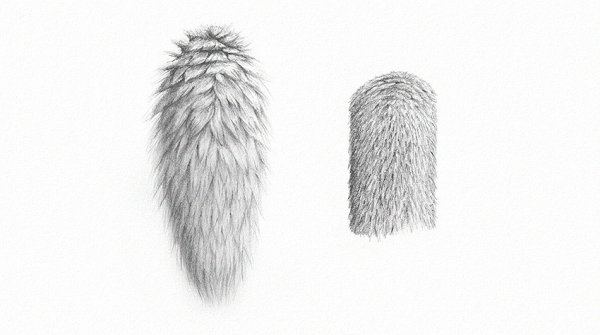 Нарисованный мех