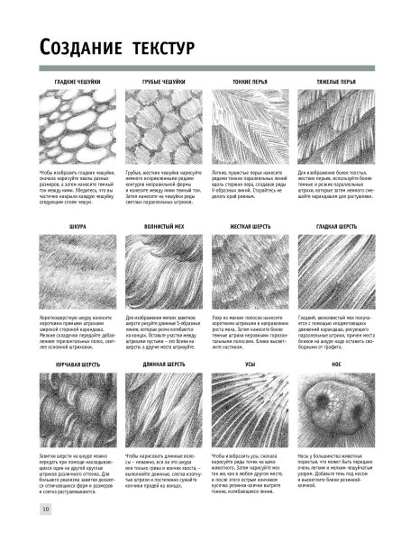 Шерсть карандашом штриховка