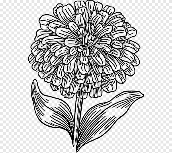 Астры акварелью