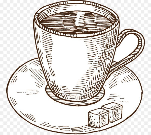 Набросок чашки