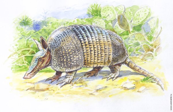 Киплинг броненосцы