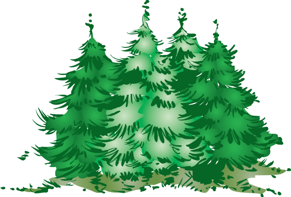 Ель рисунок