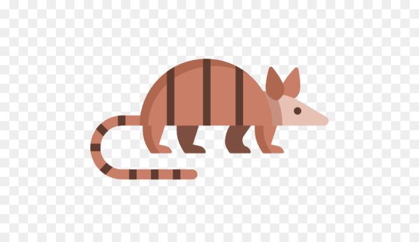 Броненосец черный