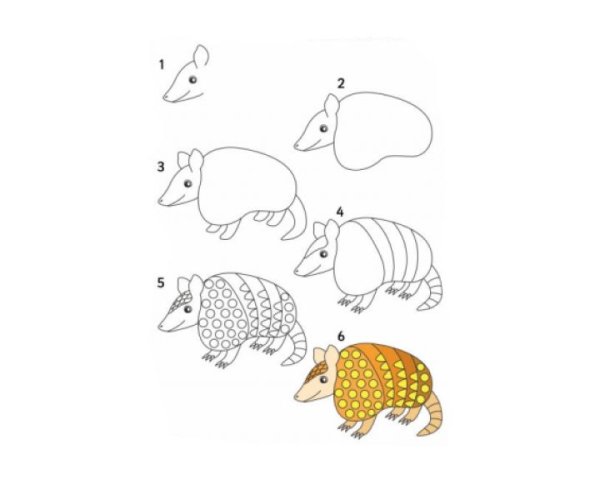 Мультяшная броненосец