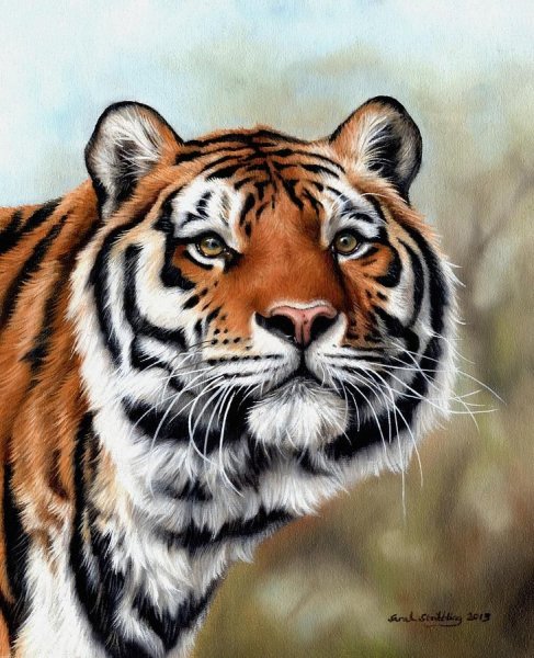 Художник Sarah Stribbling