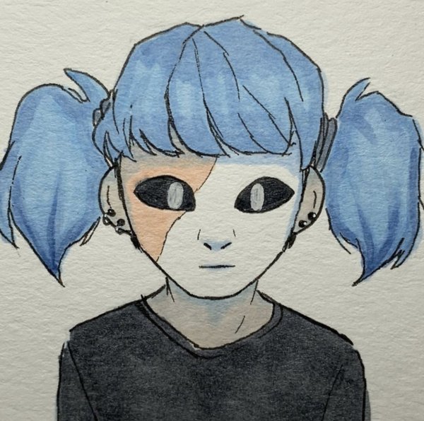 Салли фейс портрет