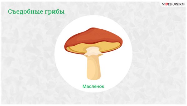 Маска масленка гриба