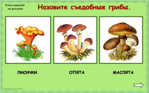 Маслята рисунок