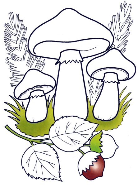 Рисунки грибов