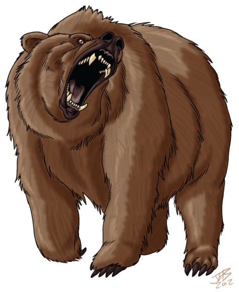 Медведь ДНД