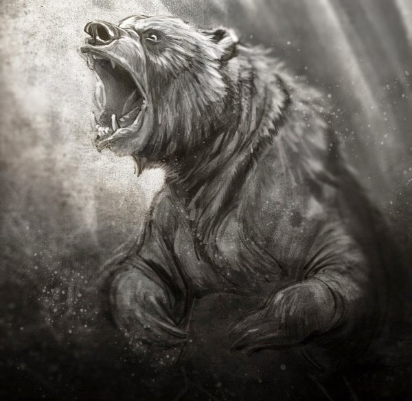 Злой медведь