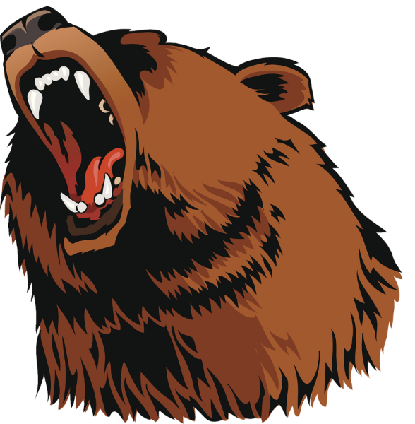 Злой медведь без фона