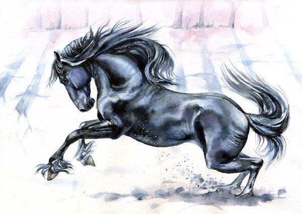 Набросок бегущей лошади