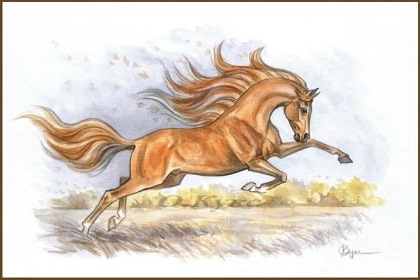 Лошадь карандашом