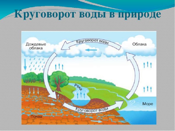 Круговорот воды в природе 6 класс география